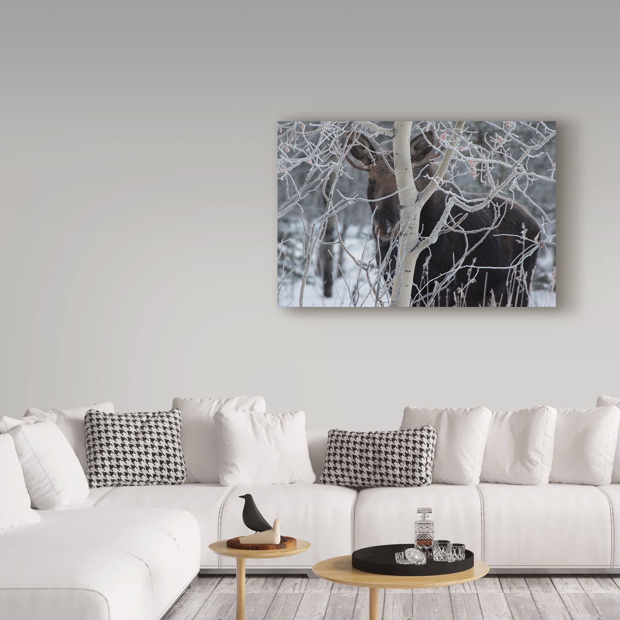 Trademark Fine Art 'Hiding Moose' Canvas Art by Brenda Petrella Photography Llc