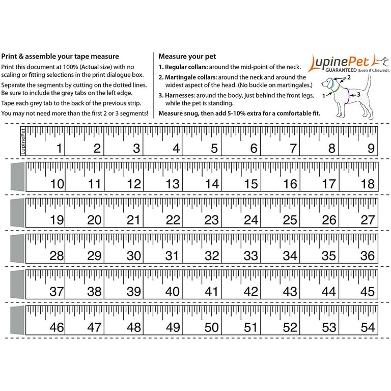 Lupine Step-In Dog Harness - 1/2 Inch Wide, Size 12-18 Inch Girth, Wing It Pattern (Made In USA, Chew-Proof Guarantee)