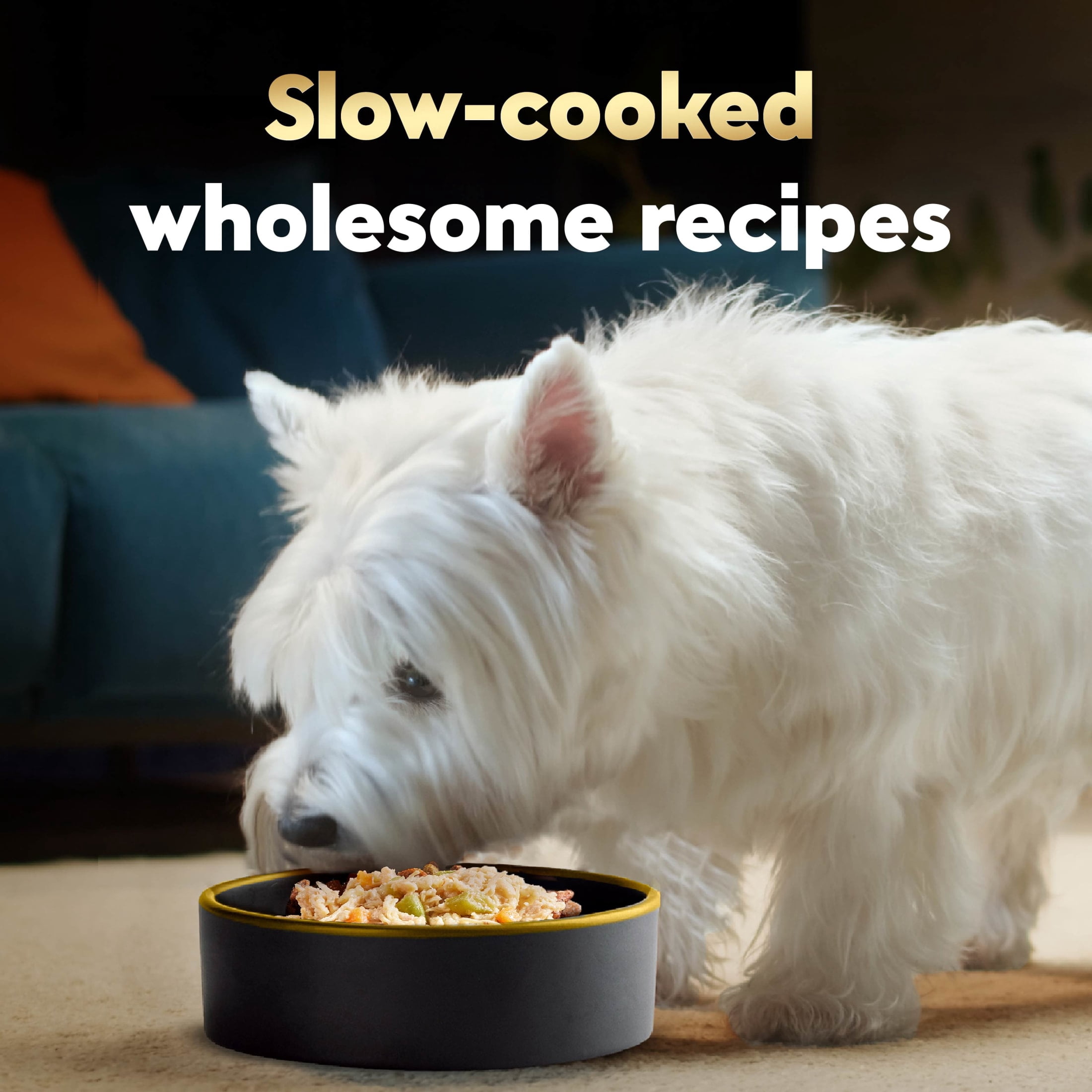 Cesar Wholesome Bowls Chicken, Carrots, Barley, & Green Bean Recipe Adult Wet Dog Food, 3 oz Bowl