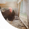 thumbnail image 2 of Chicken Wire Fencing Poultry Wire Mesh Fence Yard Garden Crafting Decor, 2 of 8