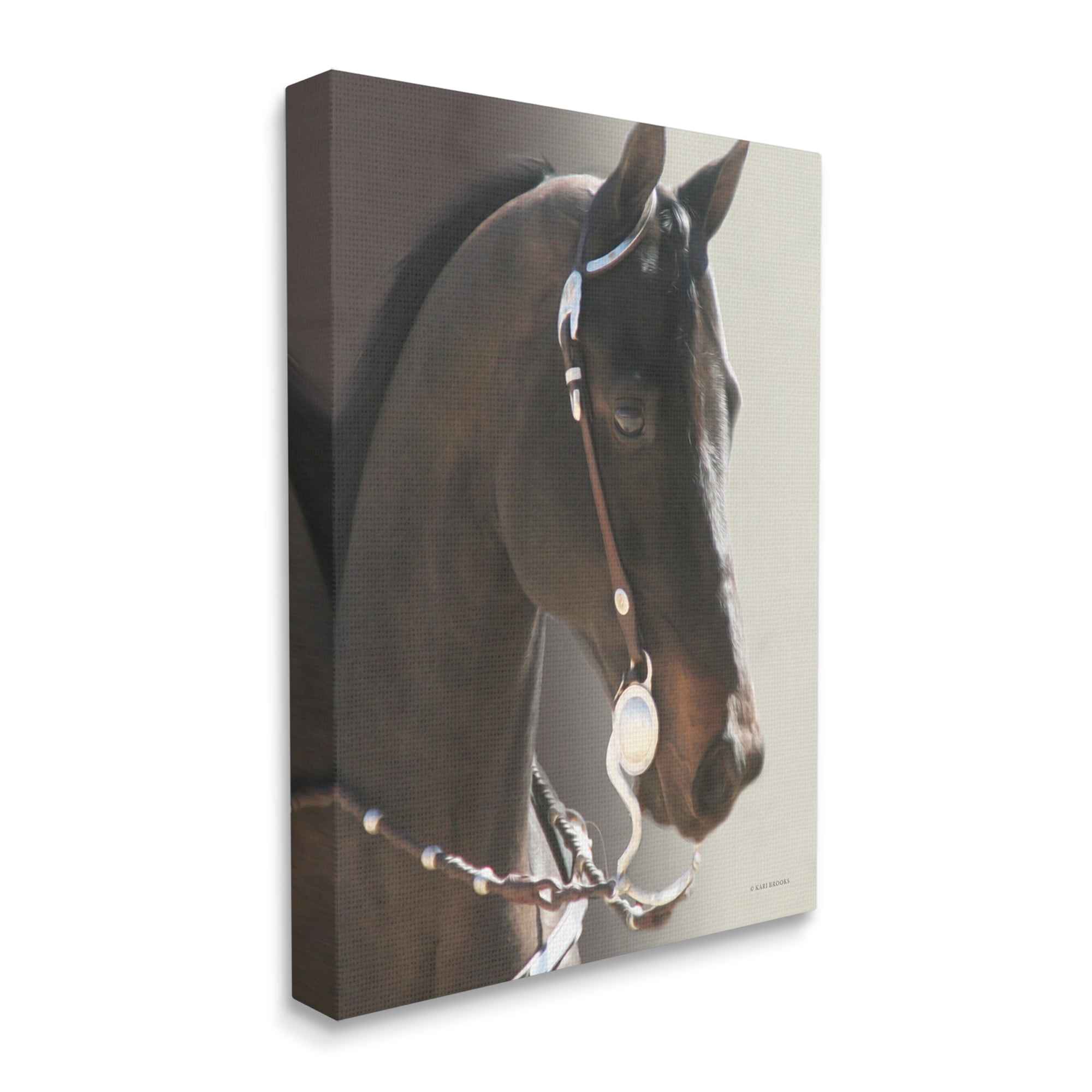 Stupell Industries Horse with Bridle Animals & Insects Photography Gallery Wrapped Canvas Art Print Wall Art, 24 x 30