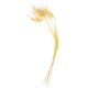 thumbnail image 3 of 4pcs Artificial Rice & Wheat Ears Bunches Faux Grass Centerpieces Home Wedding Office Rustic Decorative Dry Bouquet, 3 of 4