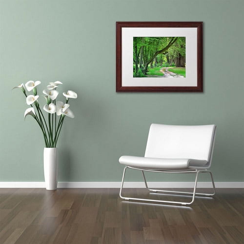 Trademark Fine Art "Intimate Landscape" Canvas Art by Philippe Sainte-Laudy, White Matte, Wood Frame