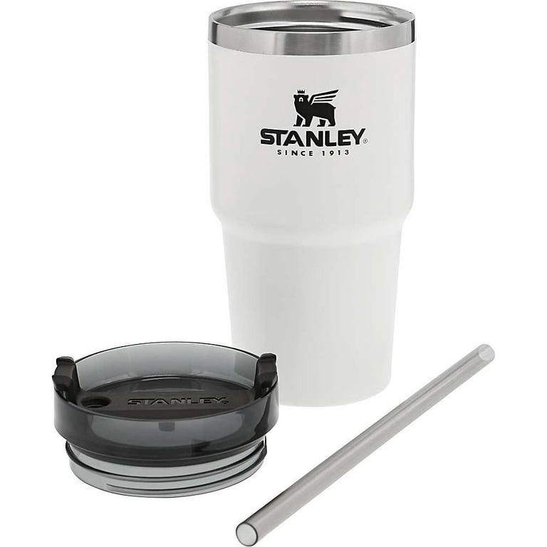 Stanley Adventure Reusable Vacuum Insulated Quencher Tumbler 20 oz - Polar  
