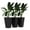 Black, variant on Rattan Planters 3-Pack, 24 Inch - Black Plastic Flower Pots with Drainage, Indoor/Outdoor Plant Containers, Modern Decorative Planters