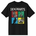 thumbnail image 5 of Harry Potter Hogwarts House Emblems Men's Black Graphic Tee-4XL, 5 of 7