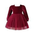 thumbnail image 2 of Tutu-Dresses for Girls Cute Tulle-Splice-Velvet 9M-4Y Toddlers Kids Trendy Long Puffed-Sleeve Crewneck Solid Color A-Line Fall Winter Mini Dress, 2 of 4