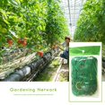 thumbnail image 5 of 10 Paquetes Cuerdas para Trepar Plantas Jardinería Btafrte Redes para Trepar Melones Y Frutas Flores 9 M X 1 8 M, 5 of 5