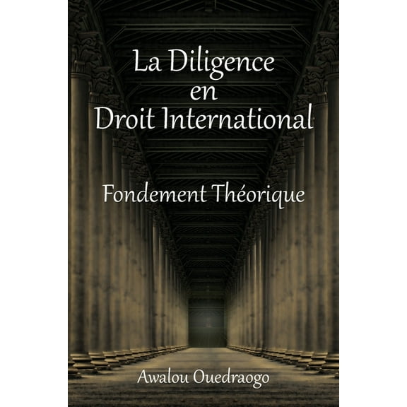 La Diligence En Droit International Fondement Théorique (Paperback)