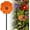 Orange, variant on Ceramic Bee Watering Station for Garden, 25cm Bee Blossoms for Water Ceramic, Pollinator Feeder Flowers for Bees, Water Drinking Station Bowl, Rain Catcher Mini Bird Baths On Stakes