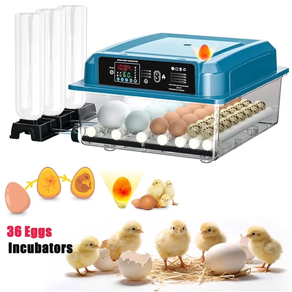 Automatic Egg Incubator, 36 Eggs Incubator for Hatching Eggs with Automatic Egg Turning, Temperature Control and Humidity Display, Poultry Egg Incubator Egg Candler for Chicken Eggs, Quail Egg, Goose