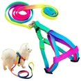 thumbnail image 2 of Conjunto de arnés y correa para perros, arnés para perros con cierre a presión, chaleco para perros, arnés interactivo de malla suave, asa de cordón para viajes al aire libre, 2 of 5