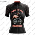 thumbnail image 3 of Conjunto de maillot de ciclismo de primera calidad Flamingo Summer, maillot deportivo de carreras para equipo transpirable, ropa de ciclismo para mujer, maillot corto para bicicleta, 3 of 5