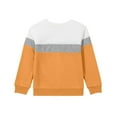 thumbnail image 5 of Girls Sweatshirts Long Sleeve Crewneck Pullover Color Block Lightweight Fall Winter Casual Everyday Wear Top 1-15 Years, 5 of 5