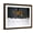 Brown Frame, variant on Art.com Red Fox Jumping in the Snow Photographic Print by John Conrad, 16" x 12"