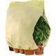 thumbnail image 1 of Winter Veil Cobertor de invierno para plantas, Cobertor de protección de plantas ajustable con cordón con cremallera, Bolsa de protección de plantas reutilizable anticongelante, 180 x 120 cm, B, 1 of 5