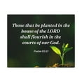 thumbnail image 5 of Scripture Walls Psalm 92:13 Shall Flourish Bible Verse Canvas Christian Wall Art Ready to Hang Unframed, 5 of 13