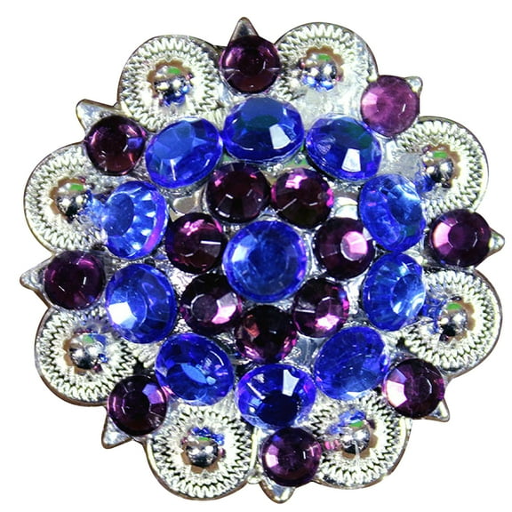 Set Of 4 Western Screw Back Concho Blue Purple Crystals 1-1/49In. Saddle