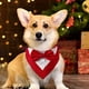 thumbnail image 3 of Collar de perro con pañuelo de boda formal para perro con pajarita, disfraz de cumpleaños para perro, esmoquin ajustable para fiesta de mascotas, ROJO, 3 of 5