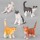 thumbnail image 4 of Figura de acción de gatos para niños, modelo de simulación de gatito, adornos, animales realistas, muñeca, regalos, decoración de mesa, 4 of 4
