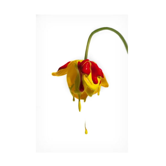 Canvas Wall Art - Kent Mathiesen 'Crying Flower' Wall Art for Living Room, Bedroom, or Office D?cor by Trademark Fine Art - 12 x 19 Inches