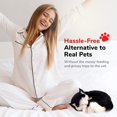 thumbnail image 4 of Juguete interactivo para mascotas de peluche 88 Unlimited Original Petzzz, 4 of 8