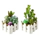 thumbnail image 1 of Combinación de suculentas en maceta, adornos pequeños de moda creativos, plantas verdes artificiales, 2 uds., 1 of 5