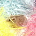 thumbnail image 4 of Paper Shred Filler Cozy Natural Hamster Paper Bedding Hamster Shredded Paper, 4 of 8
