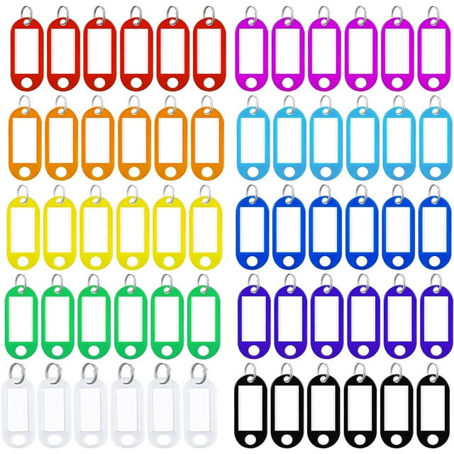 60 Pcs Key Tags with Labels, Tough Plastic Key Tags with Split Ring Label Window with Split Ring Assorted Colors for ID Tags, Pet Name Tags, Luggage Tags