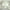 Green, variant on Peony Sheer Curtain 77.17 x 37.4inch Living Room Windows Voile Valance Bedroom Curtain Valances Sheer Rod Pocket Window Treatment Light Filtering 1 Panel