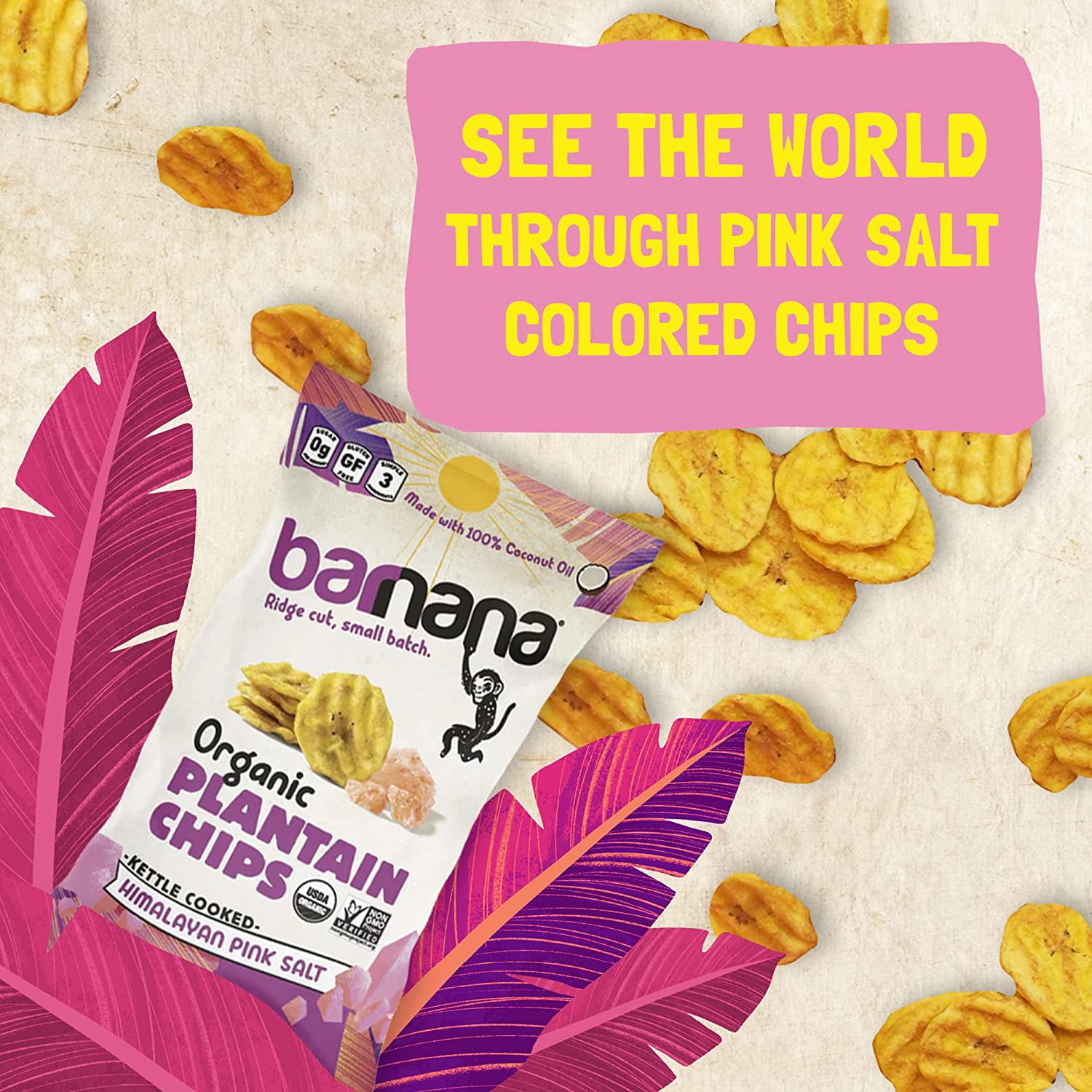 Organic Plantain Chips, Himalayan Pink Salt, USDA Organic, Vegan (6 Pack), Barnana