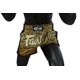 thumbnail image 4 of Pantalones cortos de boxeo para muay thai Fairtex BS1709 Leopard Skin M, 4 of 9