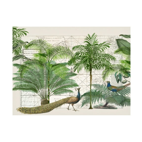 Trademark Fine Art Andrea Haase Tropical Empire No6 Canvas Wall Art