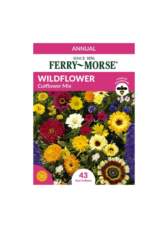 Wildflower Mix Flower Seeds in Seed Gardening