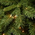 thumbnail image 2 of National Tree Company 7.5 ft. Lehigh Valley Pine Tree with Clear Lights, 2 of 4