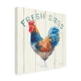 thumbnail image 4 of Trademark Fine Art 'Fresh Eggs Hen' Canvas Art by Danhui Nai, 4 of 4