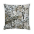 thumbnail image 2 of Ahgly Company Earth Rock Outdoor Throw Pillow, 18 inch by 18 inch, 2 of 6