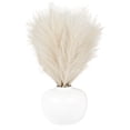 thumbnail image 1 of Better Homes & Gardens 14" Artificial Pampas in White Rounded Ceramic Vase, 1 of 5
