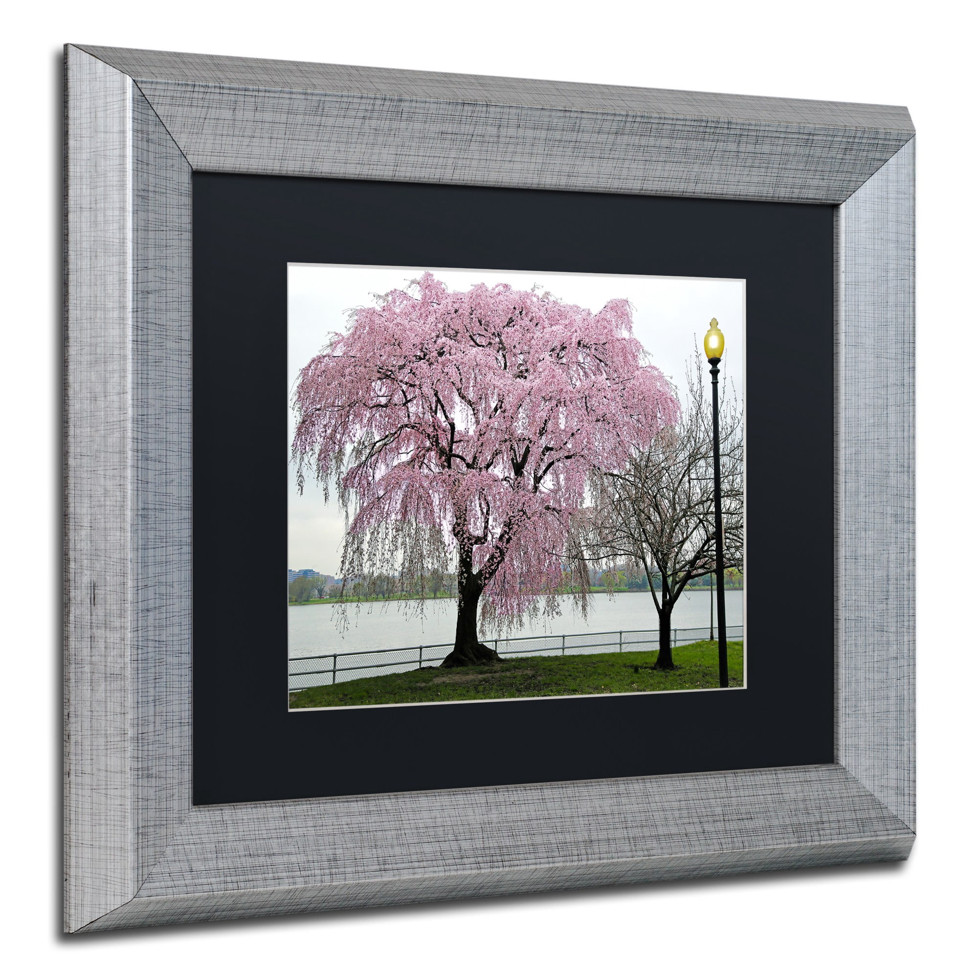 Trademark Fine Art "Cherry Tree" Canvas Art by CATeyes, Black Matte, Silver Frame
