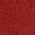 thumbnail image 3 of Pemberly Row 2' x 4' Brick Red Fabric Outdoor Area Rug (2' x 4'), 3 of 9