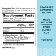 Collagen Peptides by Ancient Nutrition, Collagen Peptides Powder, Unflavored Hydrolyzed Collagen, Supports Healthy Skin, Joints, Gut, Keto and Paleo Friendly, 14 Servings, 20g Collagen per Serving