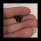 thumbnail image 2 of 1000 Piezas Tm Tornillo de Cabeza Negro de Acero Al Carbono Cabeza de Tornillo de de Acero Inoxidable Cabeza de Paraguas M3, 2 of 5