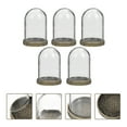 thumbnail image 4 of Miangastore 5 Ensembles de Conteneurs en Verre Terrarium DIY Écologique avec Plateau, 4 of 8