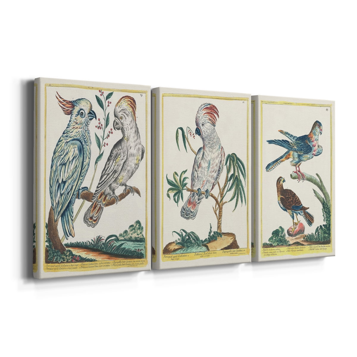 Pastel Birds I Premium Gallery Wrapped Canvas - Ready to Hang - 12 x 18 Each