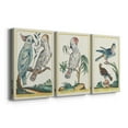 thumbnail image 3 of Pastel Birds I Premium Gallery Wrapped Canvas - Ready to Hang - 18 x 27 Each, 3 of 10
