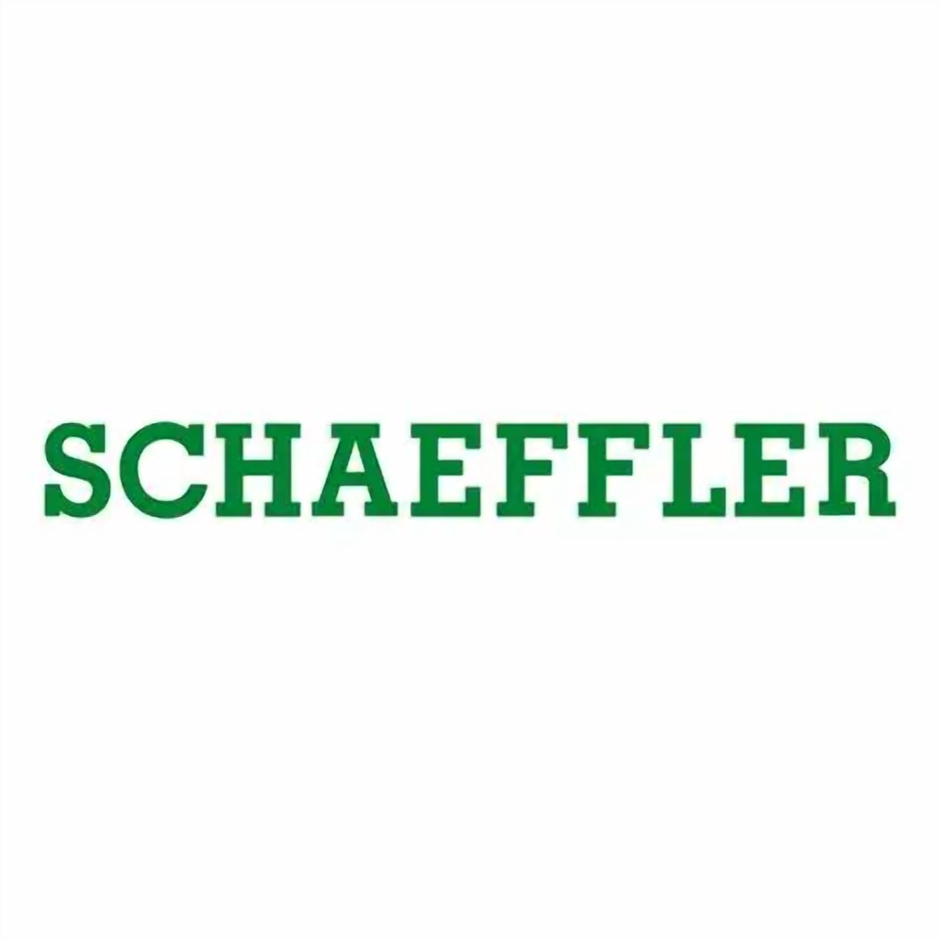 Schaeffler S35058, Shaft Seal, Compatible with Freightliner FL60 92-04, FL70 92-05, M2 112 09-13, MT45 00-07, MT55 00-08