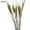 Natural, variant on AURORA TRADE 19.69” Artificial Dried Wheat Natural Fall Arrangement Bouquet (25 Count)