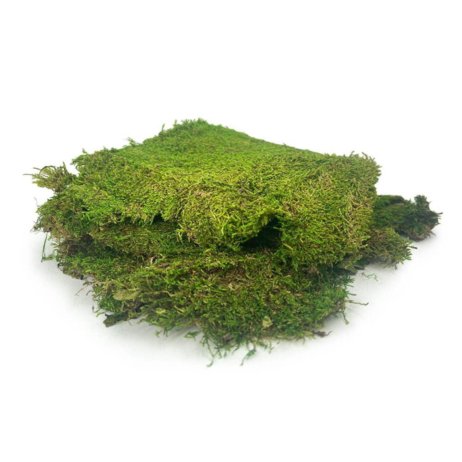 Preserved Sheet Moss - Party Supplies Decorations