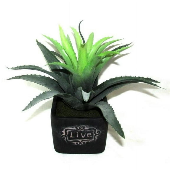 Jeco HD-BT012 11 in. Artifical Succulent Garden