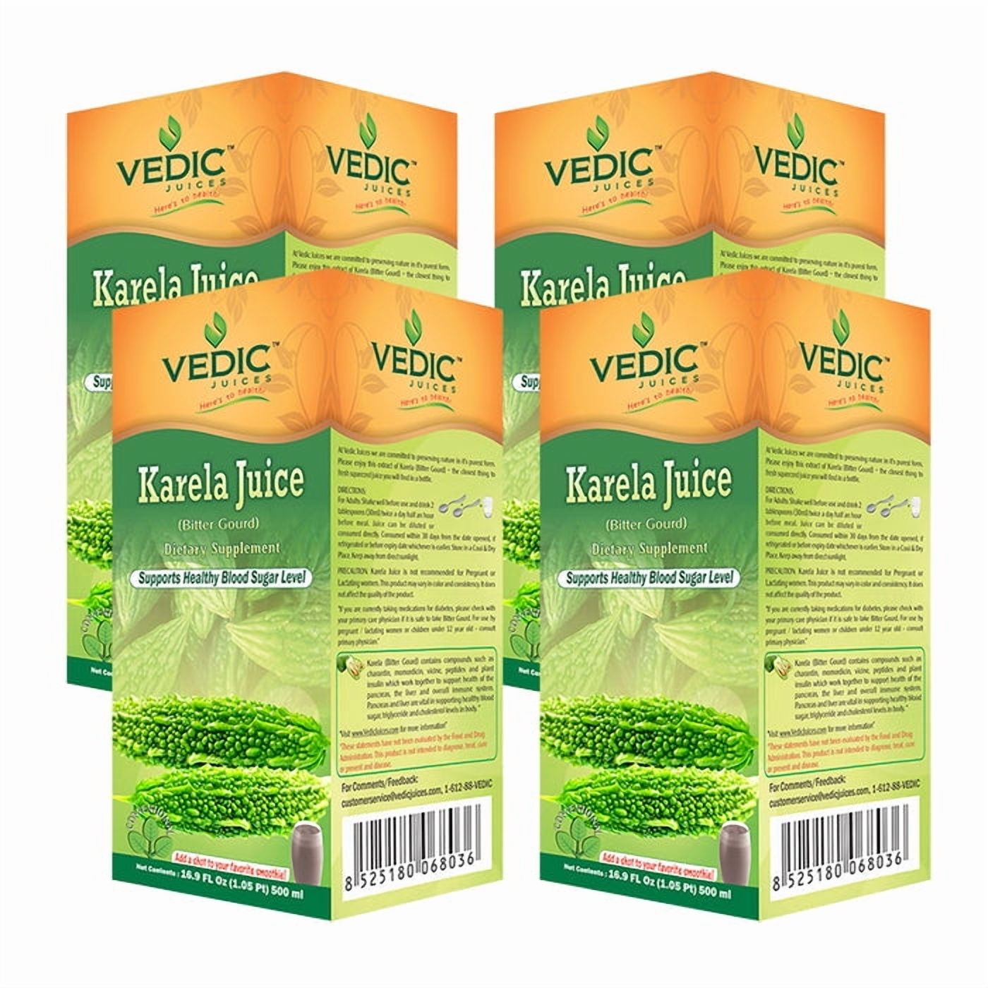 Vedic Juice Bitter Gourd (Karela) Juices | 33.8 floz (1000 Ml)